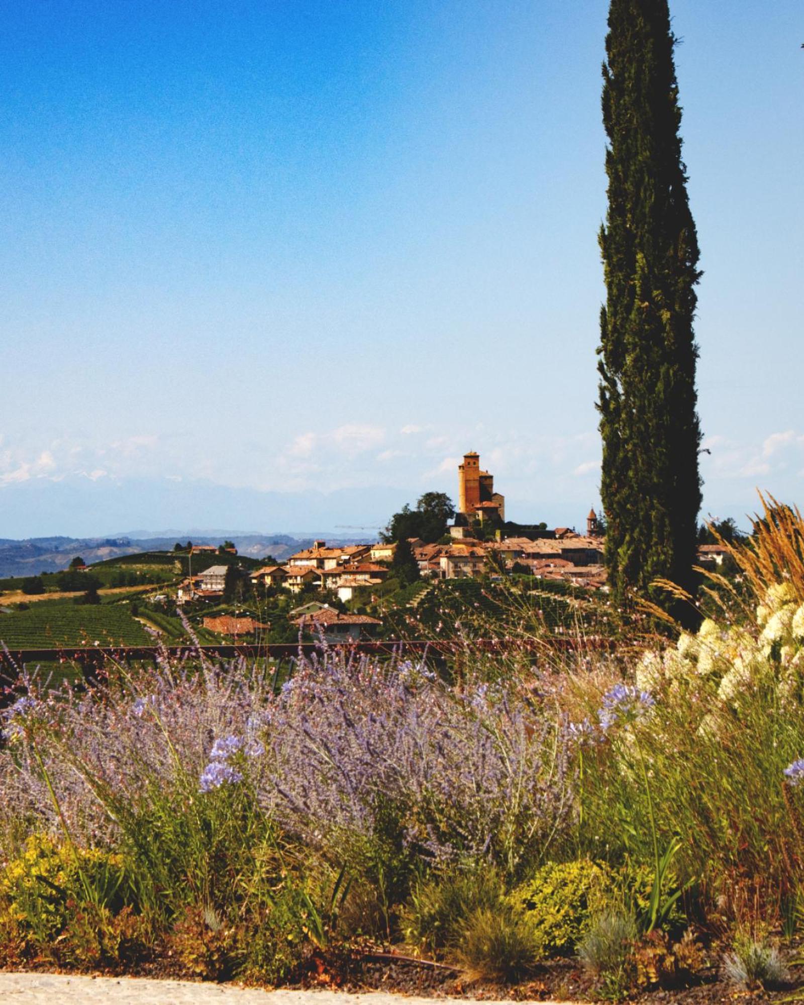 Il Boscareto Resort & Spa Serralunga d'Alba Εξωτερικό φωτογραφία